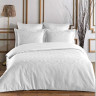 Постельное белье из хлопкового жаккарда KARVEN N301 DAMASK WHITE 50х70 (2шт), 70х70 (2шт) евро