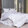 Одеяло кассетное GERMAN GRASS WHITE FAMILIE DOWN 200х200 теплое